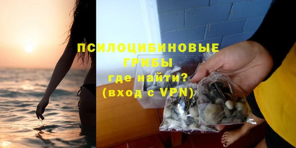 шишки Зеленодольск