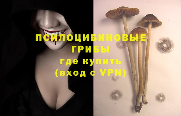 ГАЛЛЮЦИНОГЕННЫЕ ГРИБЫ Зеленокумск