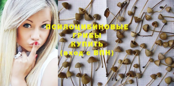 соль ск Заволжск