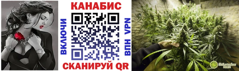 Бошки Шишки OG Kush  Купить где  Тотьма 